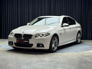 2016 Bmw 525 X Drive M Sport - Küçük resim 2
